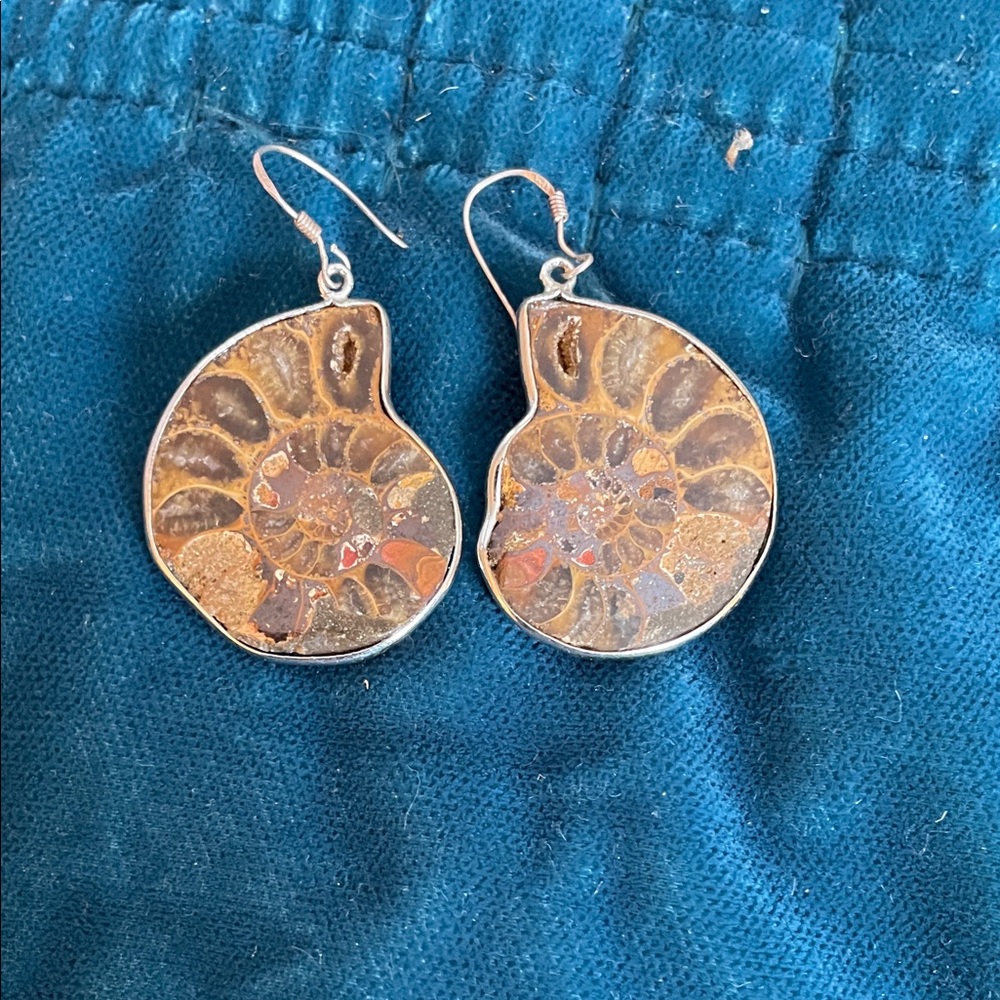 Fossil Ammonite Dangle Earrings